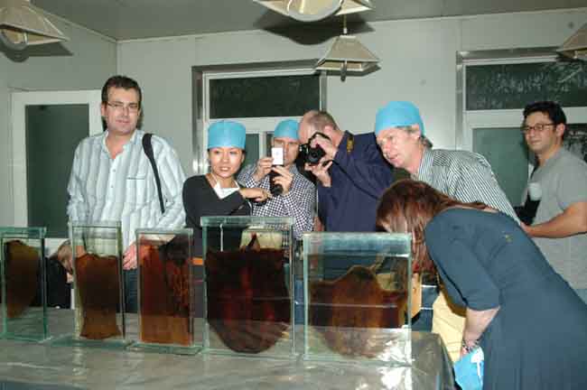 1581663345714.jpg DSC_0172.jpg