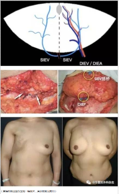 1586927822273.png 微信.png