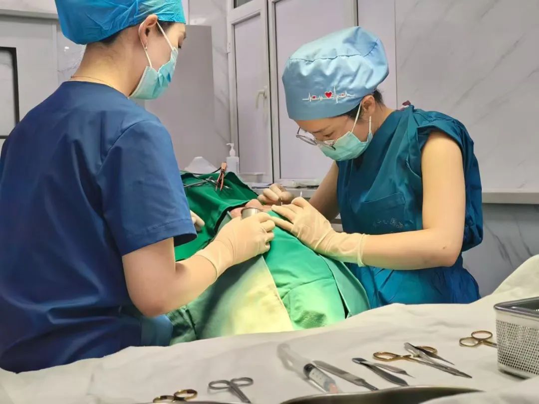 1755048514937.jpg 1755048514937.jpg