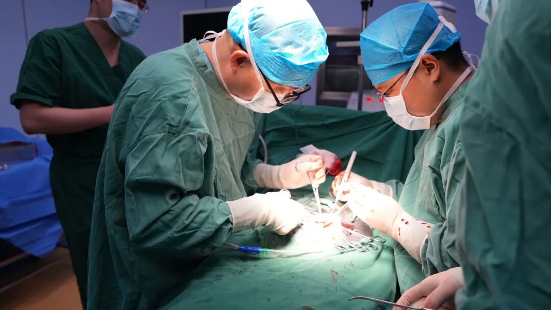 1758764013299.jpg 1758764013299.jpg