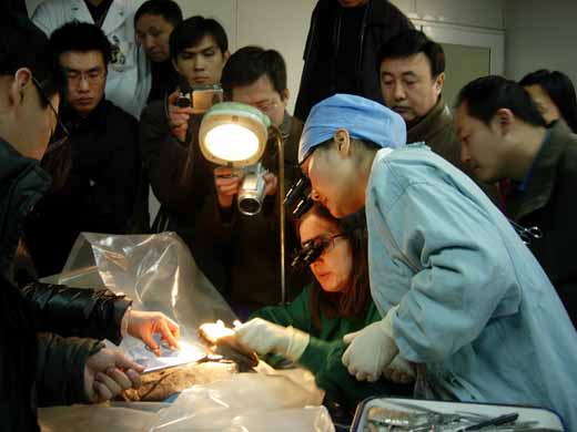 1581670711042.jpg 321.jpg