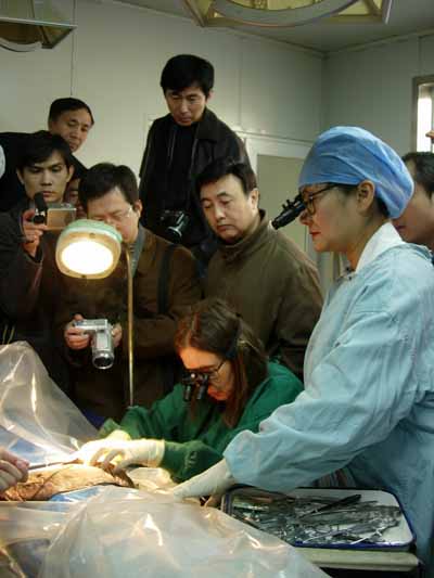 1581672433339.jpg 65(1).jpg