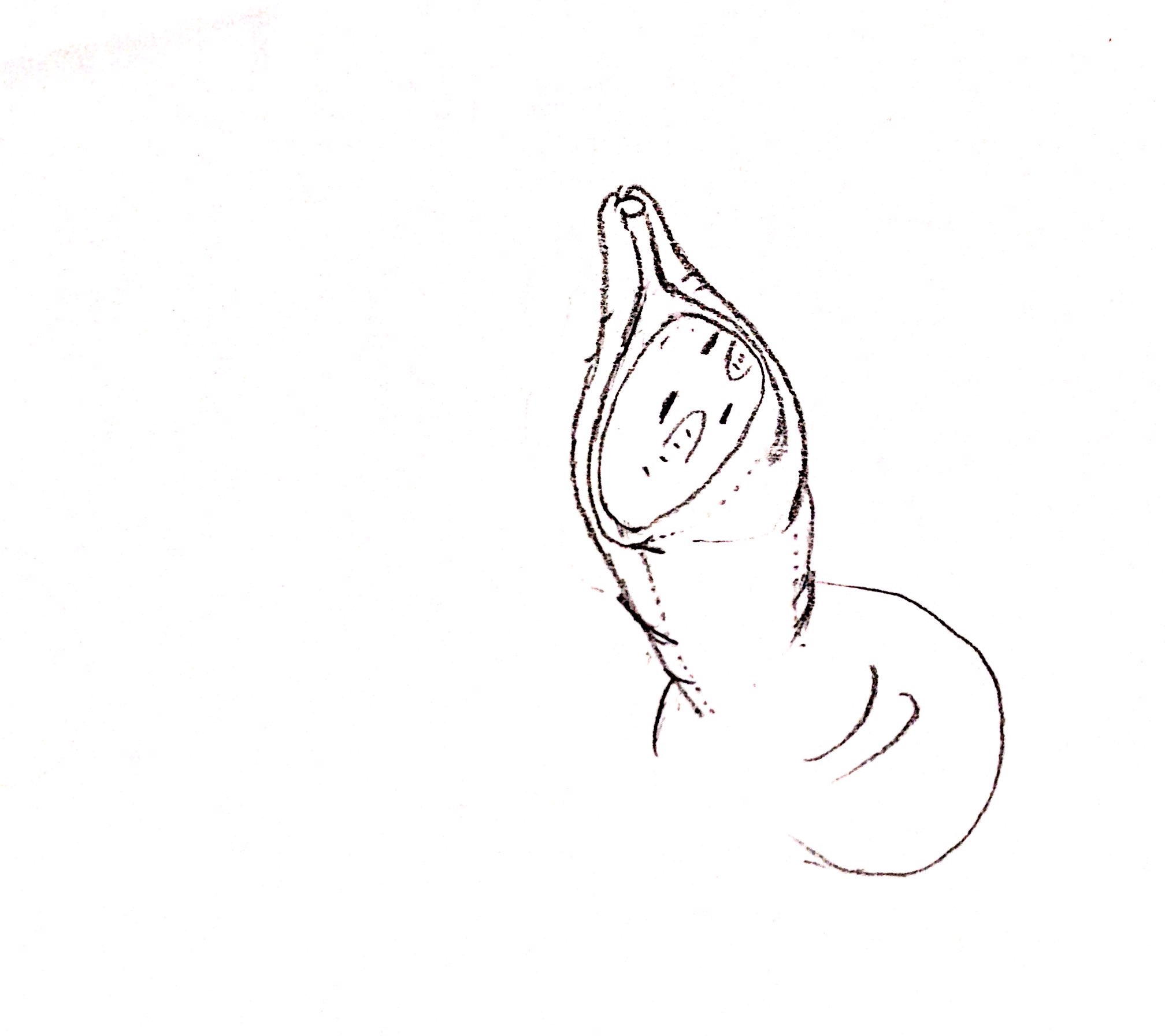 1596449271408.jpg 1596449271408.jpg