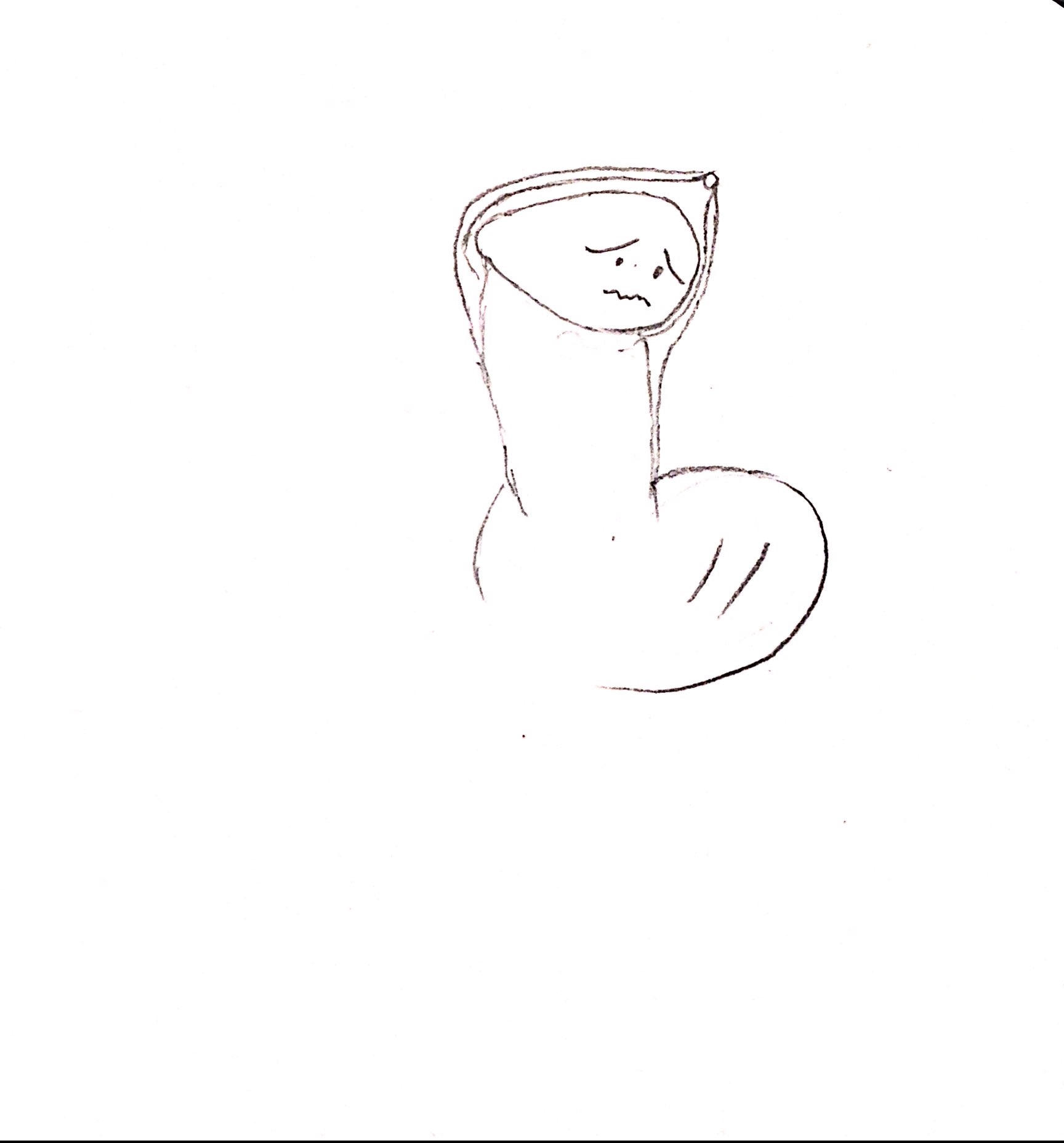 1596449366658.jpg 1596449366658.jpg