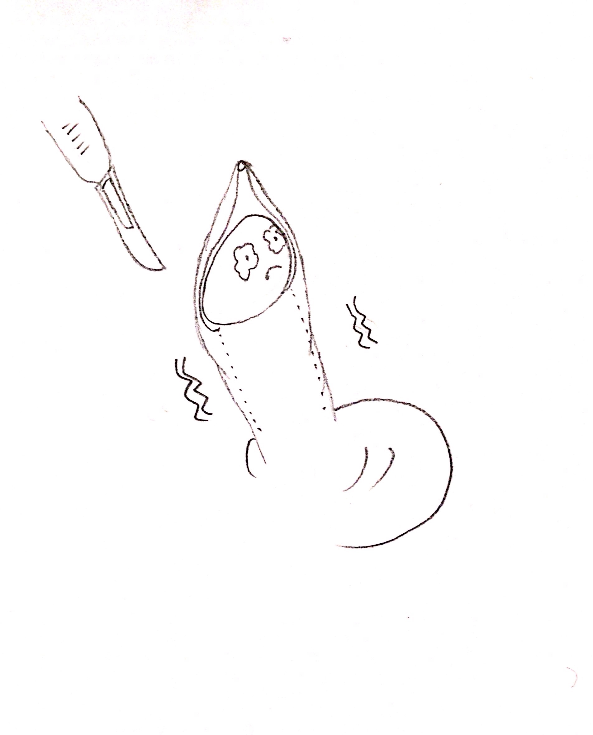 1596449438048.jpg 1596449438048.jpg