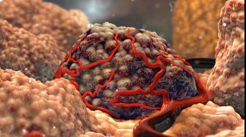 1596613042566.jpg 微信图片_20200805153441.jpg