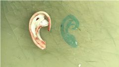 1620626771905.png image.png