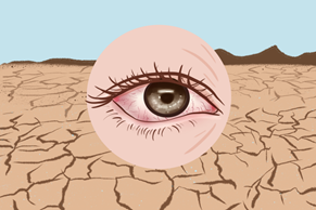 1653031502842.png 1653031502842.png