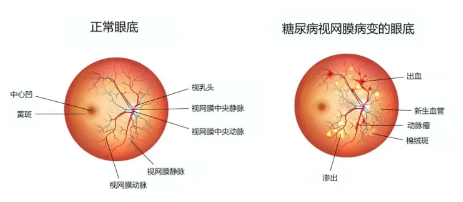 1653032949499.png 1653032949499.png