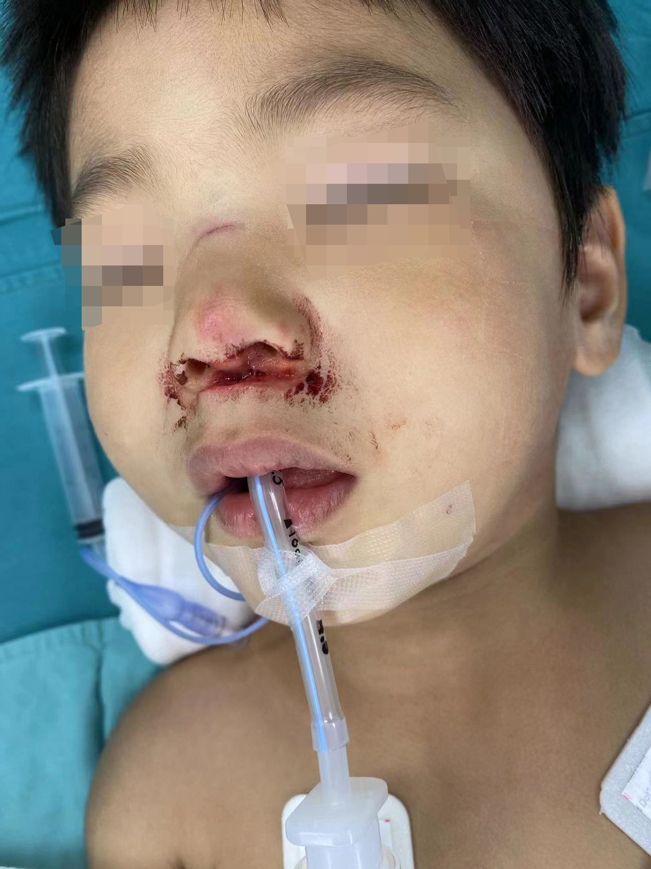 1692255322824.jpg 1692255322824.jpg