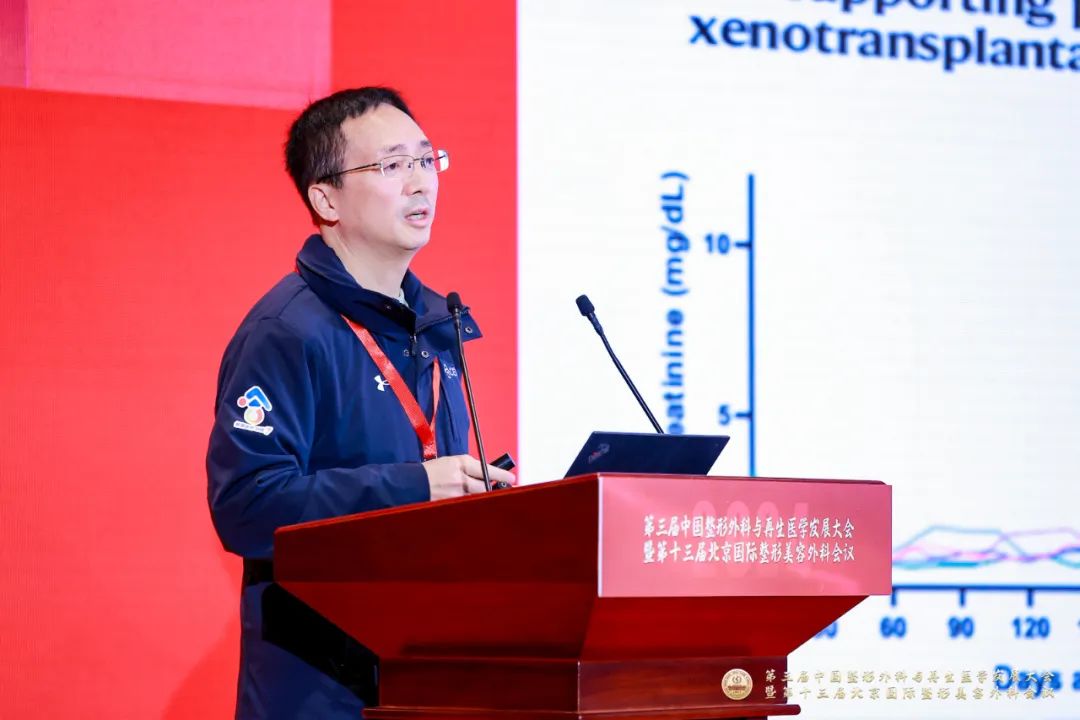 1730181554612.jpg 1730181554612.jpg