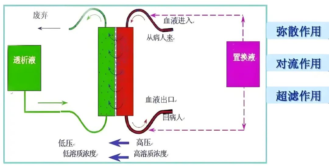 1737008710628.jpg 1737008710628.jpg