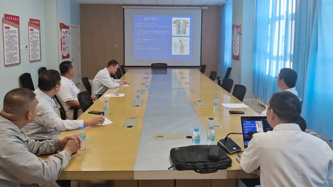 1758175214645.jpg 1758175214645.jpg