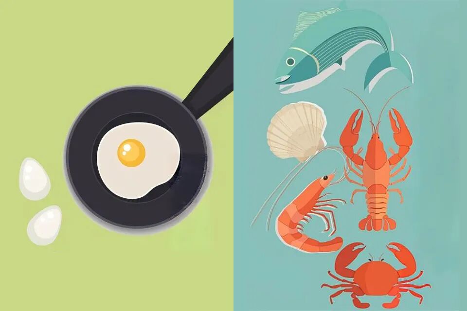 1758763470700.jpg 1758763470700.jpg