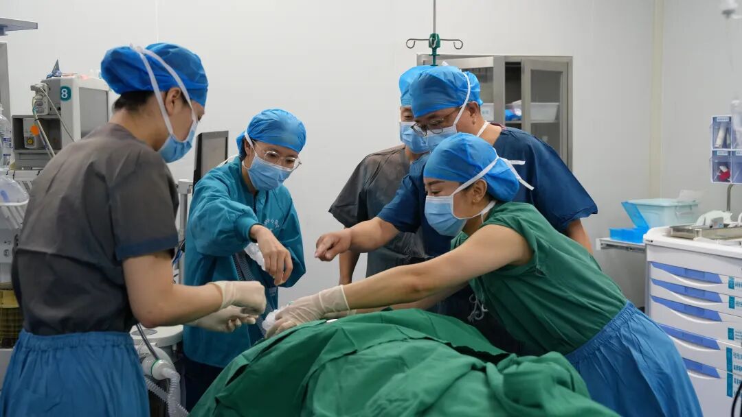 1759107980039.jpg 1759107980039.jpg